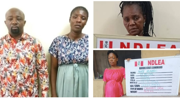 ndlea