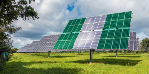 renewable energy