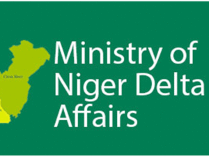 Minister of Niger Delta Affairs