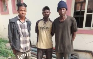 NSCDC arrests 5 suspects for vandalising FCT bridges