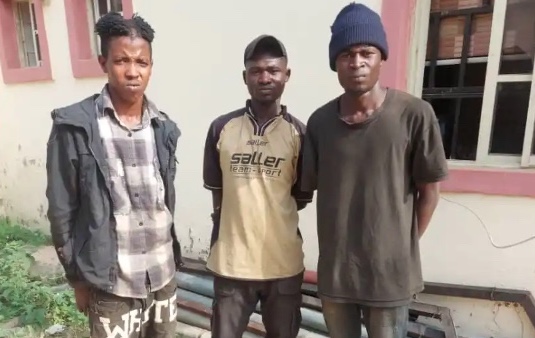 NSCDC arrests 5 suspects for vandalising FCT bridges