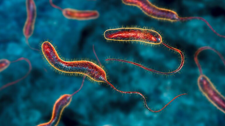 Cholera outbreak kills 2 siblings, 3 others in Abia community