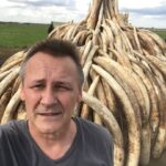 tusk