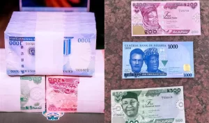 new-naira-notes