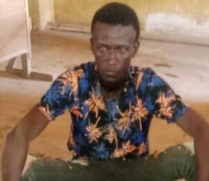 Niger: Police arrest suspected bandits informant, food supplier