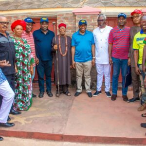 PDP vows to win Senate, other seats in Anambra South