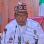Borno Governor Babagana Zulum