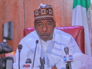 Borno Governor Babagana Zulum