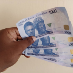 New-Naira-Note-by-Ifeanyi-Ibeh