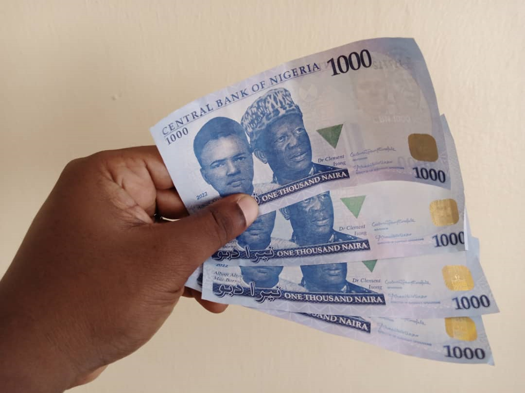New-Naira-Note-by-Ifeanyi-Ibeh