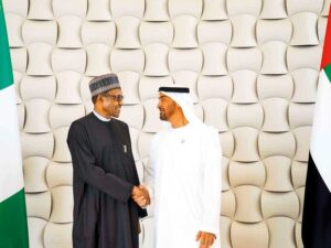 WM-190409-ZAYED-NIGERIA-(Read-Only)_resources1_16a45059f4c_large
