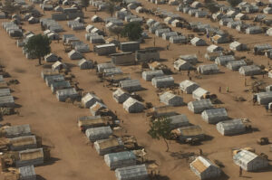 2023 census to capture IDPs, ex-insurgents – NPC