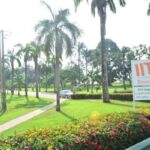 IITA
