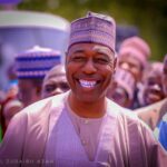 Borno Governor Babagana Zulum