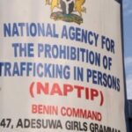 NAPTIP-LOGO-e1485211656620