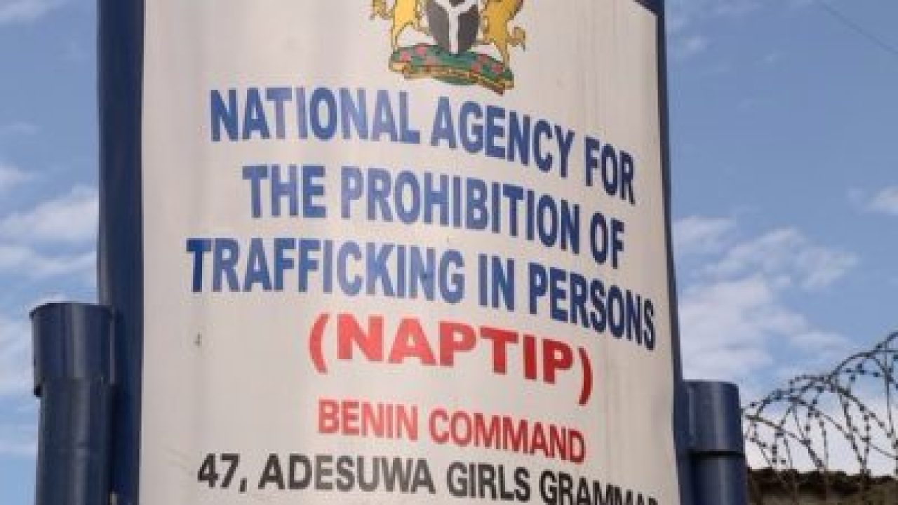 NAPTIP-LOGO-e1485211656620