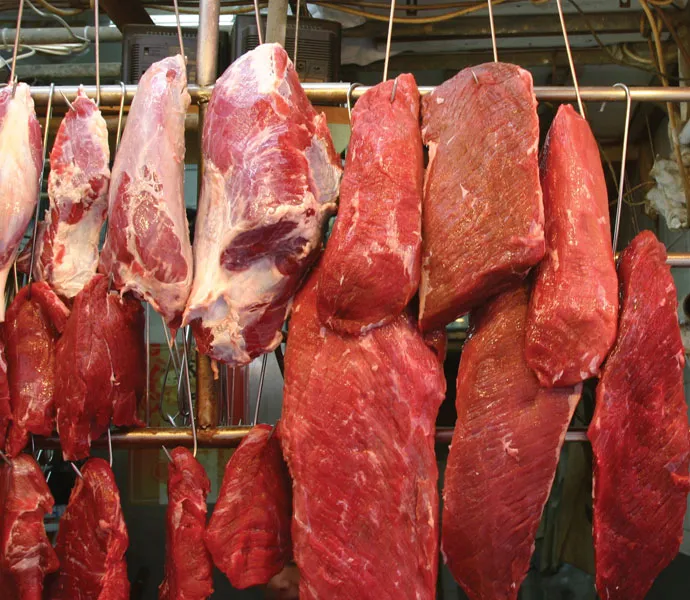 meat