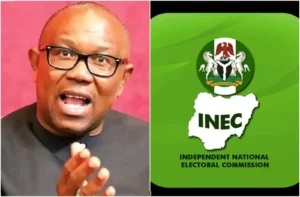 obi-inec