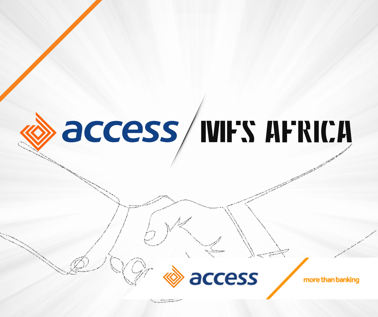 Access-Partnership3
