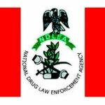 NDLEA 