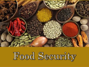 food-security