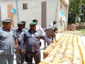 Smugglers attack Kebbi Customs for 3 days over donkey skin