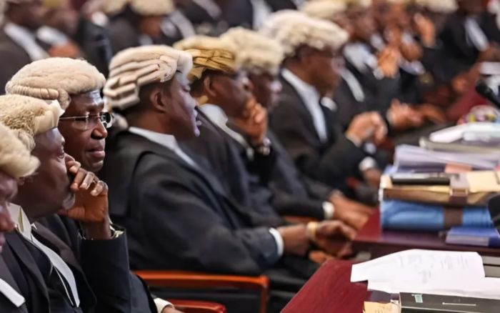 Tribunal