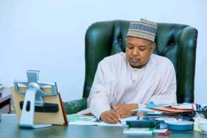 Gov-Bagudu