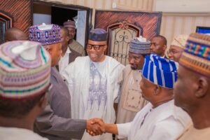 10th NASS: Shettima endorses Akpabio
