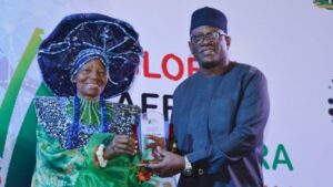 PHOTO-NEWS-INVEST-IN-MARITIME-SECTOR-NIMASA-TELLS-NIGERIANS-IN-DIASPORA-678×381