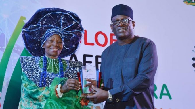 PHOTO-NEWS-INVEST-IN-MARITIME-SECTOR-NIMASA-TELLS-NIGERIANS-IN-DIASPORA-678×381