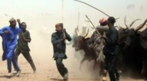 fulani-600×4232-600×330