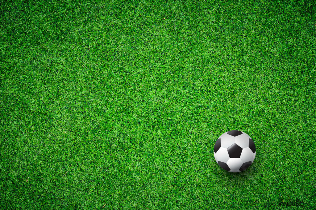 soccer-ball-on-lawn-top-2900521