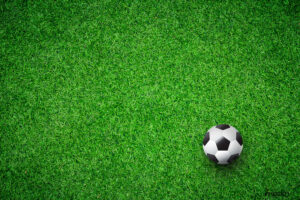 soccer-ball-on-lawn-top-2900521