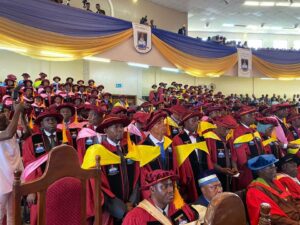 LASU awards Fashola, Fayemi, Gbajabiamila, others with honorary degrees