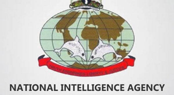 National-Intelligence-Agency-e1641615856319