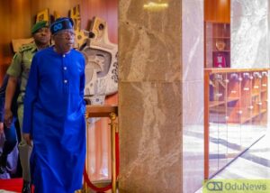 Tinubuuu-1