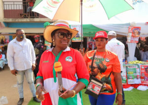Senator Uche Ekwunife