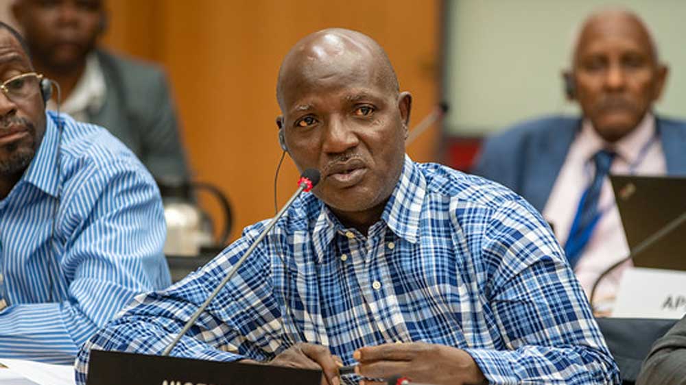 Andrew-Adejo
