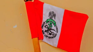 NDLEA-2