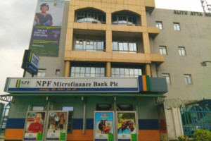NPF-Microfinance