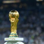 images-2023-05-19T130354.819