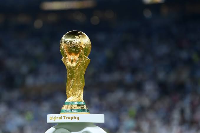 images-2023-05-19T130354.819