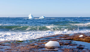 Coastal Icebergs