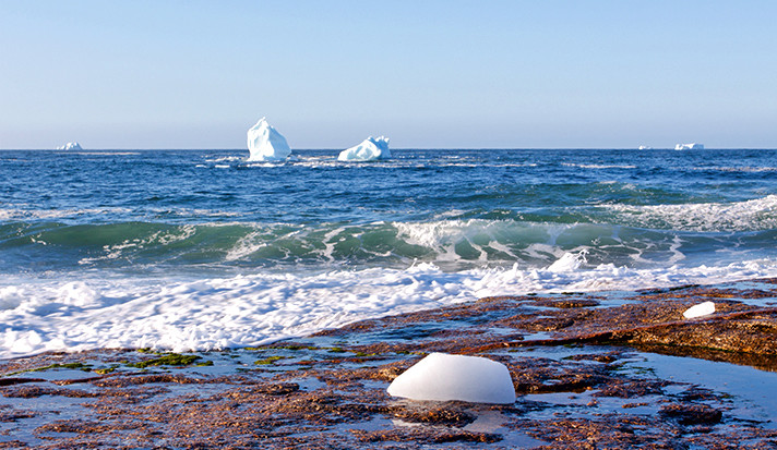 Coastal Icebergs