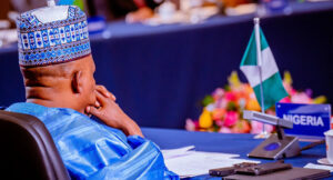 shettima-1-1
