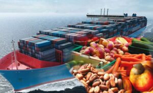 Agric-Export-960×587