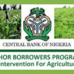 Anchor-Borrower