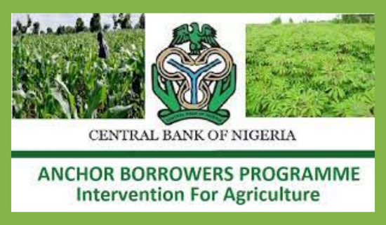 Anchor-Borrower