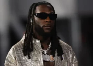 Burna-BoyItoldthem